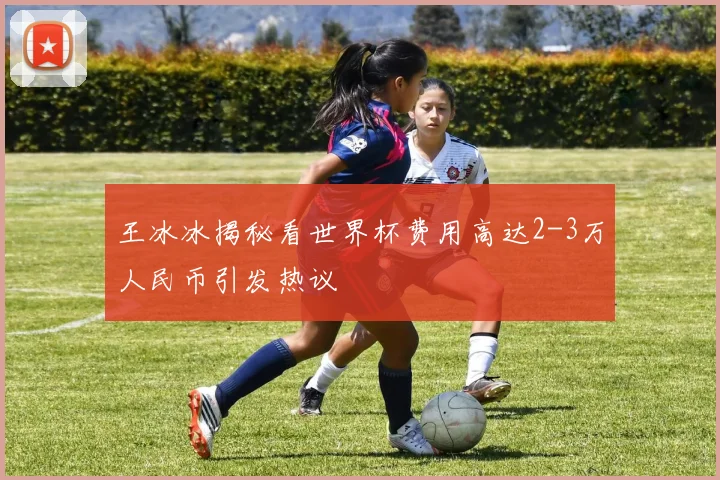 王冰冰揭秘看世界杯费用高达2-3万人民币引发热议